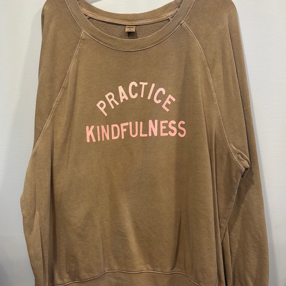 Old Navy Brown and Pink Crew Neck Sweaters